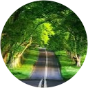 Shanmugam D Shanmugam D