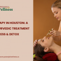 Nasyam Therapy in Houston: A Complete Ayurvedic Treatment for Sinus, Stress & Detox