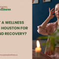 Why Visit A Wellness Center In Houston For Stress And Recovery?