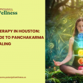 Ayurvedic Therapy in Houston: Complete Guide to Panchakarma & Natural Healing