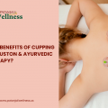 What Are the Benefits of Cupping Therapy in Houston and Ayurvedic Massage Therapy?